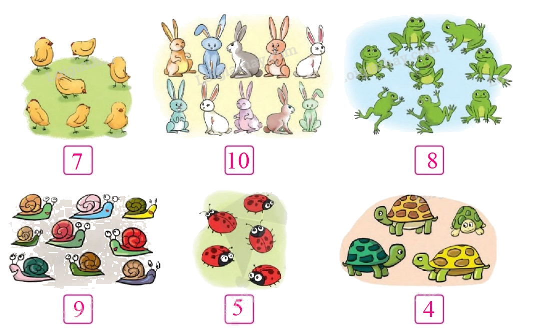 Toán lớp 1 trang 82 - Ôn tập - SGK Cánh diều 2