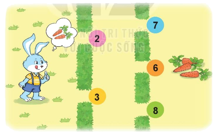 Toán lớp 1 trang 88 bài 38: Ôn tập các số và phép tính trong phạm vi 10 - SGK Kết nối tri thức 12 1