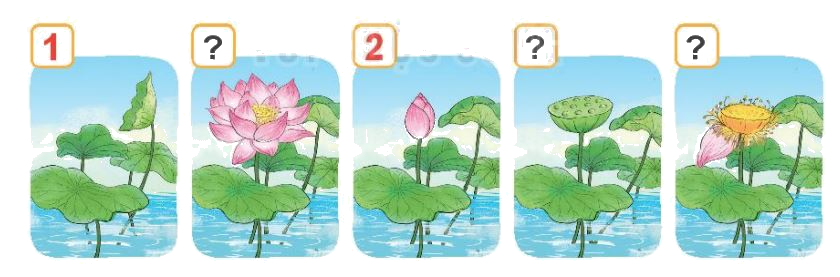 Toán lớp 1 trang 88 bài 38: Ôn tập các số và phép tính trong phạm vi 10 - SGK Kết nối tri thức 3 1