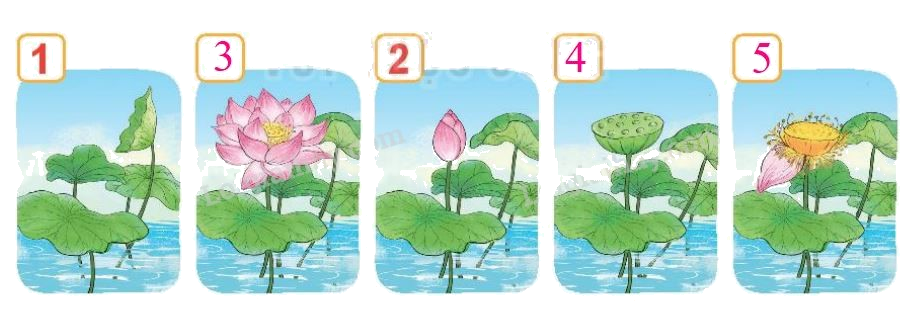 Toán lớp 1 trang 88 bài 38: Ôn tập các số và phép tính trong phạm vi 10 - SGK Kết nối tri thức 3 2