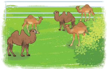 Toán lớp 3 trang 100 - Chia số có ba chữ số cho số có một chữ số - SGK Kết nối tri thức 16