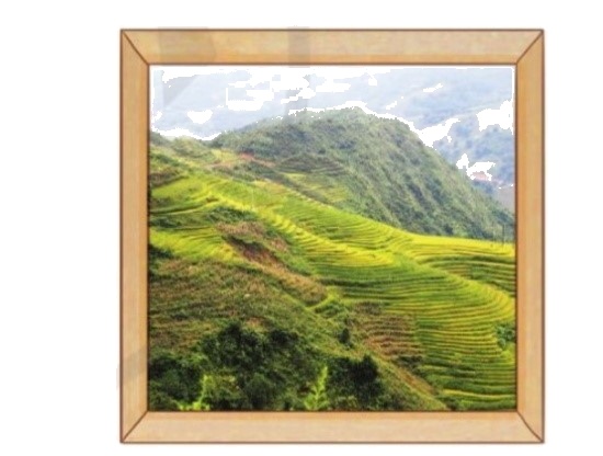 Toán lớp 3 trang 100 - Em ôn lại những gì đã học - SGK Cánh diều 3