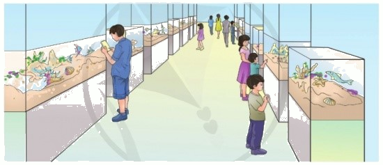 Toán lớp 3 trang 105 - Ôn tập về số và phép tính trong phạm vi 100 000 - SGK Cánh diều 7