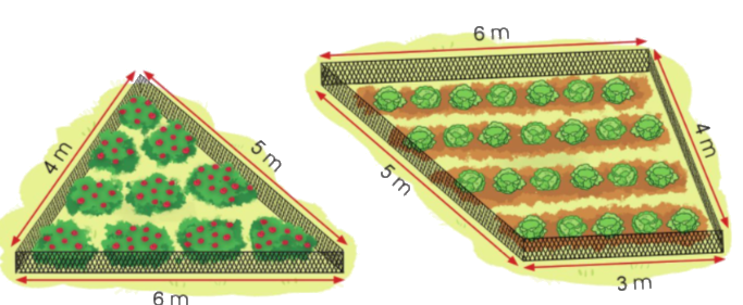 Toán lớp 3 trang 106 - Chu vi hình tam giác, chu vi hình tứ giác - SGK Cánh diều 3