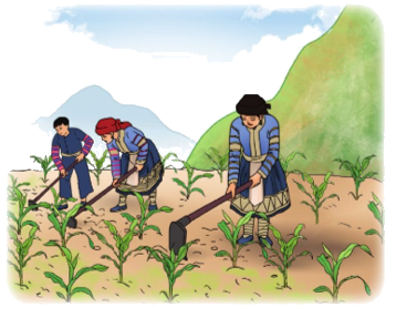 Toán lớp 3 trang 107 - Ôn tập về số và phép tính trong phạm vi 100 000 (tiếp theo) - SGK Cánh diều 6