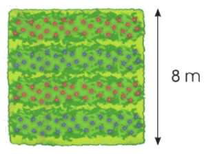 Toán lớp 3 trang 111 - Chu vi hình chữ nhật, chu vi hình vuông - SGK Cánh diều 2 2