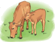 Toán lớp 3 trang 111 - Luyện tập chung - SGK Kết nối tri thức 5