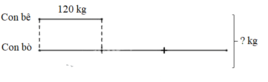 Toán lớp 3 trang 111 - Luyện tập chung - SGK Kết nối tri thức 6