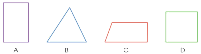 Toán lớp 3 trang 113 - Em ôn lại những gì đã học - SGK Cánh diều 3 1