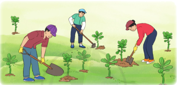 Toán lớp 3 trang 117 - Ôn tập về phép nhân, phép chia trong phạm vi 1 000 - SGK Cánh diều 10