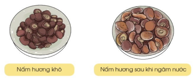 Toán lớp 3 trang 119 - Ôn tập hình học và đo lường - SGK Cánh diều 7