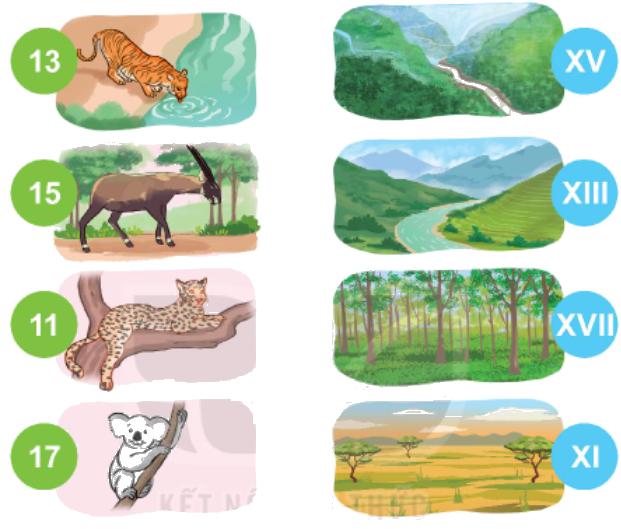 Toán lớp 3 trang 12 - Làm quen với chữ số La Mã - SGK Kết nối tri thức 2