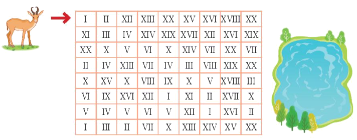 Toán lớp 3 trang 12 - Làm quen với chữ số La Mã - SGK Kết nối tri thức 6 1