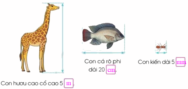 Toán lớp 3 trang 12 - Mi-li-mét - SGK Cánh diều 5