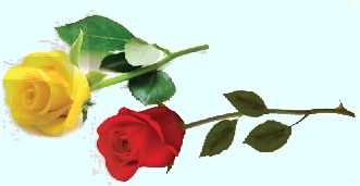 Toán lớp 3 trang 16 - Phép trừ các số trong phạm vi 10 000 - SGK Chân trời sáng tạo 7