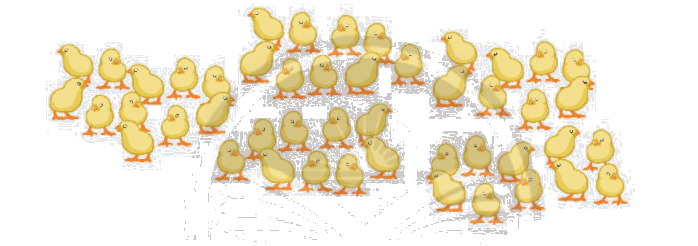 Toán lớp 3 trang 19 - Em làm được những gì - SGK Chân trời sáng tạo 7 1