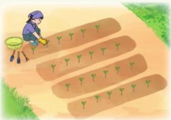 Toán lớp 3 trang 21 - Bảng nhân 6 - SGK Cánh diều 4 1