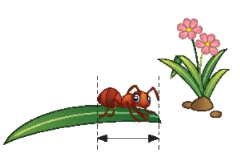Toán lớp 3 trang 21 - Mi-li-mét - SGK Chân trời sáng tạo 4