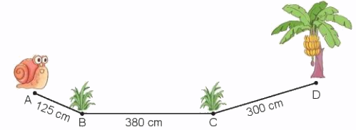 Toán lớp 3 trang 21 - Ôn tập hình học và đo lường - SGK Kết nối tri thức 4