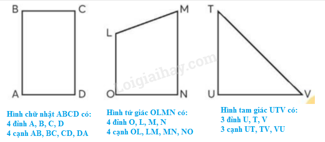 Toán lớp 3 trang 23 - Hình tam giác. Hình tứ giác - SGK Chân trời sáng tạo 0 2