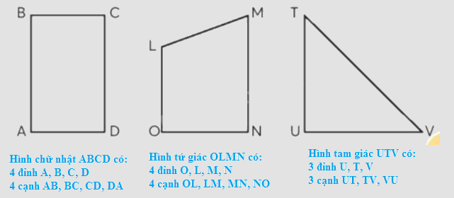 Toán lớp 3 trang 23 - Hình tam giác. Hình tứ giác - SGK Chân trời sáng tạo 2