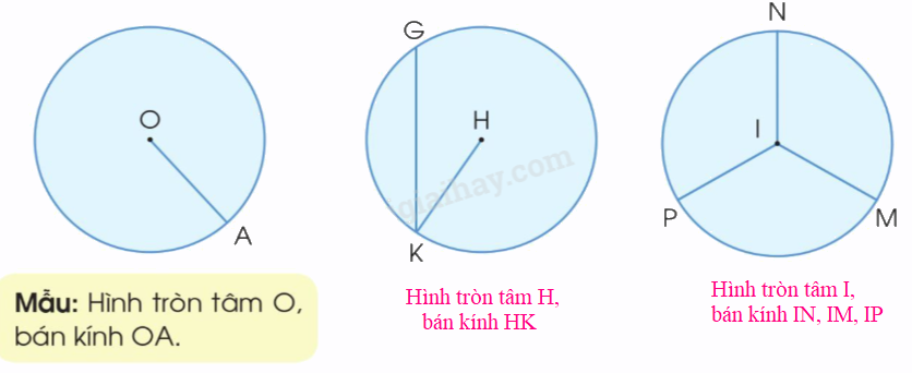 Toán lớp 3 trang 24 - Hình tròn, tâm, đường kính, bán kính - SGK Cánh diều 3