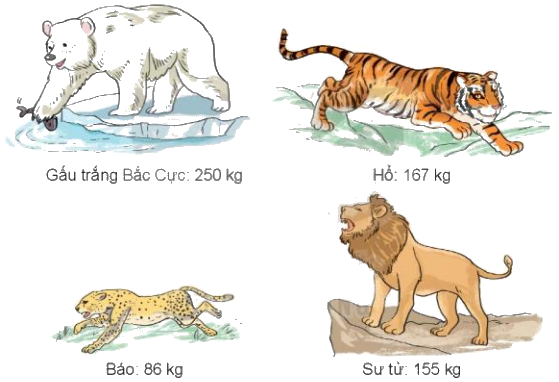 Toán lớp 3 trang 24 - Luyện tập chung - SGK Kết nối tri thức 1