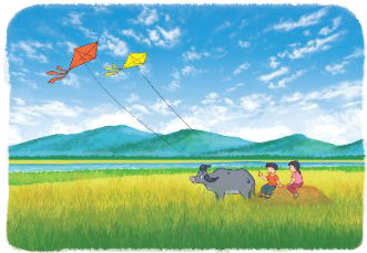 Toán lớp 3 trang 27 - Diện tích của một hình. Xăng-ti-mét vuông - SGK Kết nối tri thức 6 1