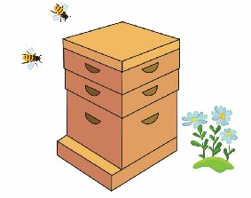 Toán lớp 3 trang 30 - Bài toán giải bằng hai bước tính - SGK Chân trời sáng tạo 1 1