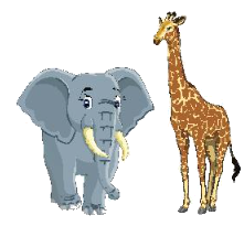 Toán lớp 3 trang 30 - Chia số có bốn chữ số cho số có một chữ số - SGK Chân trời sáng tạo 11