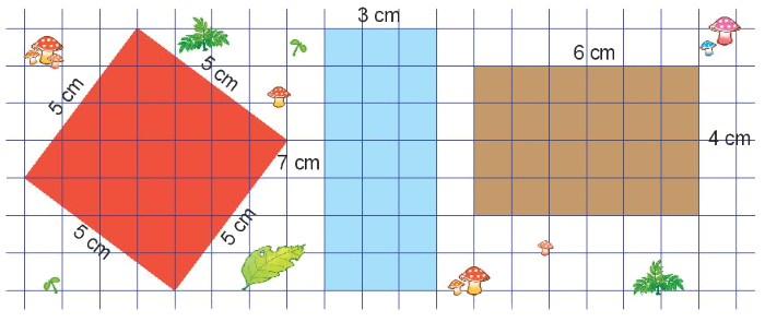 Toán lớp 3 trang 30 - Diện tích hình chữ nhật, diện tích hình vuông - SGK Kết nối tri thức 12