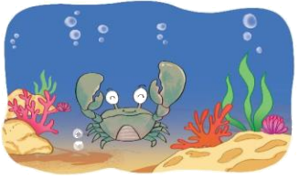 Toán lớp 3 trang 34 - Bảng nhân 8, bảng chia 8 - SGK Kết nối tri thức 11