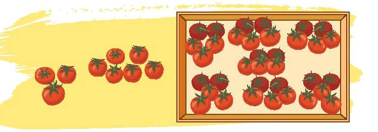 Toán lớp 3 trang 34 - Tính giá trị của biểu thức (tiếp theo) - SGK Chân trời sáng tạo 3