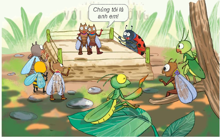 Toán lớp 3 trang 35 - Luyện tập chung - SGK Kết nối tri thức 7 1