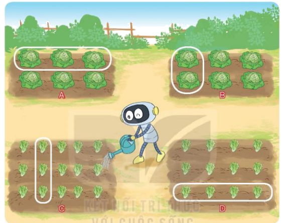 Toán lớp 3 trang 43 - Một phần mấy - SGK Kết nối tri thức 5 1