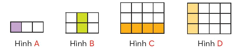 Toán lớp 3 trang 46 - Một phần hai, một phần ba, một phần tư, một phần năm - SGK Chân trời sáng tạo 6