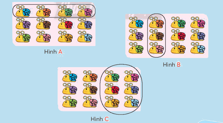 Toán lớp 3 trang 46 - Một phần hai, một phần ba, một phần tư, một phần năm - SGK Chân trời sáng tạo 6 1