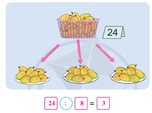 Toán lớp 3 trang 48 - Bảng chia 8 - SGK Cánh diều 8
