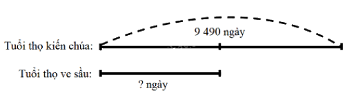 Toán lớp 3 trang 48 - Chia số có bốn chữ số cho số có một chữ số - SGK Kết nối tri thức 11