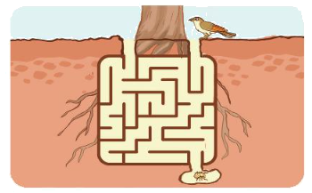 Toán lớp 3 trang 48 - Chia số có bốn chữ số cho số có một chữ số - SGK Kết nối tri thức 10