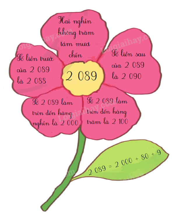 Toán lớp 3 trang 49 - Em vui học toán - SGK Cánh diều 2