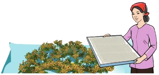 Toán lớp 3 trang 50 - Bảng chia 9 - SGK Cánh diều 9