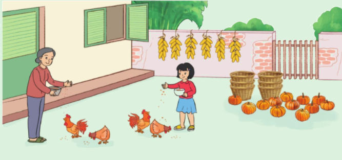 Toán lớp 3 trang 52 - Luyện tập - SGK Cánh diều 3 1