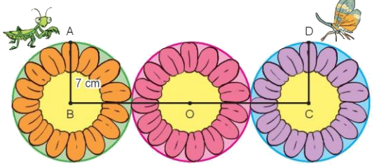 Toán lớp 3 trang 53 - Hình tròn. Tâm, bán kính, đường kính của hình tròn - SGK Kết nối tri thức 3