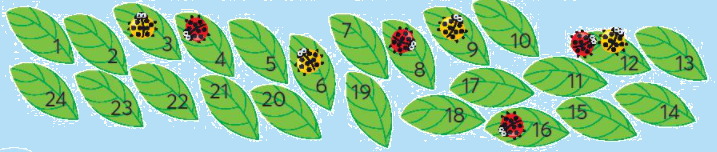 Toán lớp 3 trang 53 - Phép chia hết và phép chia có dư - SGK Chân trời sáng tạo 5 1