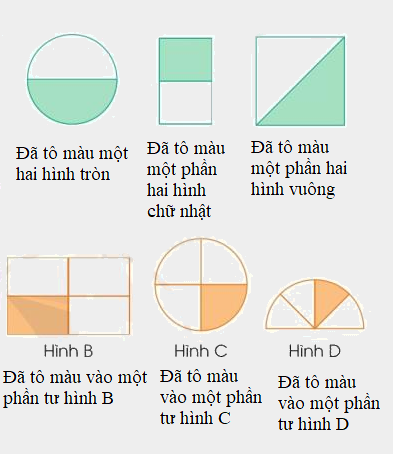 Toán lớp 3 trang 56 - Một phần hai, một phần tư - SGK Cánh diều 0 2