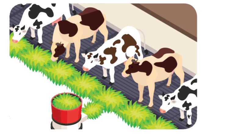 Toán lớp 3 trang 58 - Phép cộng các số trong phạm vi 100 000 - SGK Chân trời sáng tạo 4 1