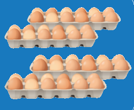 Toán lớp 3 trang 63 - Nhân số có năm chữ số với số có một chữ số - SGK Chân trời sáng tạo 4 1