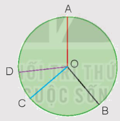 Toán lớp 3 trang 65 - Luyện tập chung - SGK Kết nối tri thức 4 1