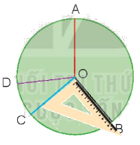 Toán lớp 3 trang 65 - Luyện tập chung - SGK Kết nối tri thức 7